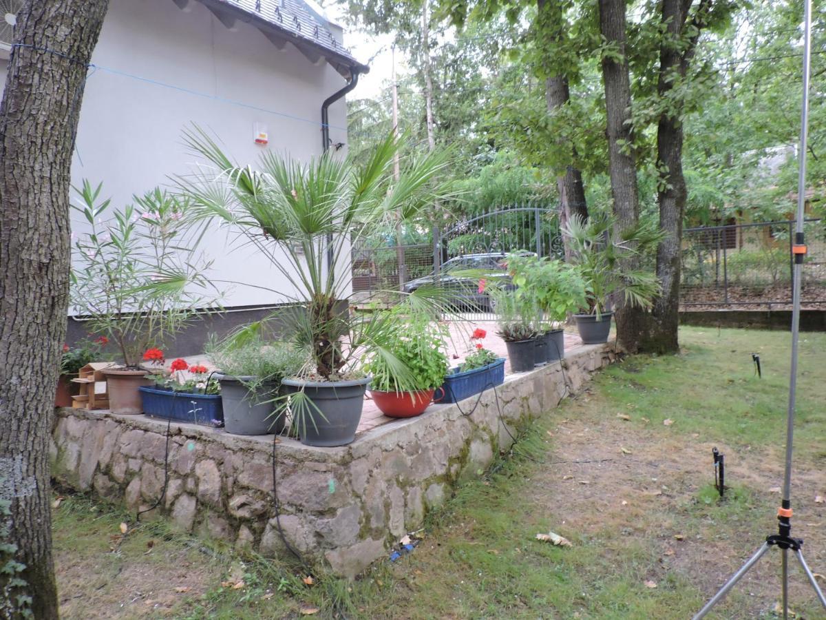 Szepezd Oak Villa Balatonszepezd Buitenkant foto