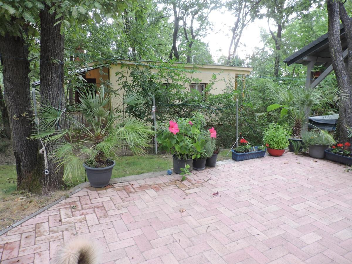 Szepezd Oak Villa Balatonszepezd Buitenkant foto